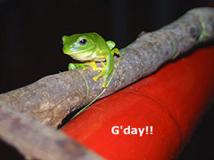 G'day!
